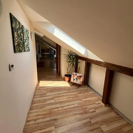 Marini Košice